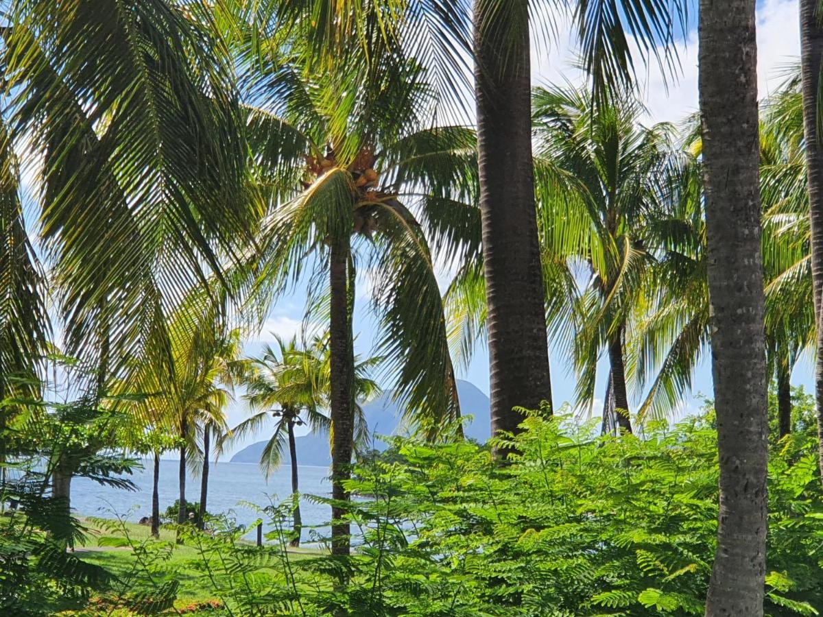סנט-לוס Ti Oasis Trinidad, Studio Vue Mer A Pierre & Vacances מראה חיצוני תמונה